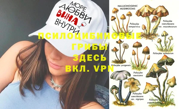 а пвп мука Козловка